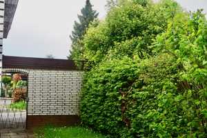Kreatives Wohnprojekt in toller Lage – Lüneburg (Kreis) – Vorschaubild 16
