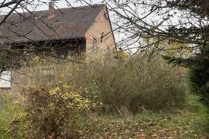 Doppelhaus in Dorfrandlage mit viel Ausbaupotential, 5000m² Grundstück bei Neuruppin, ca. 600m² NF – Ostprignitz-Ruppin (Kreis) – Vorschaubild 17