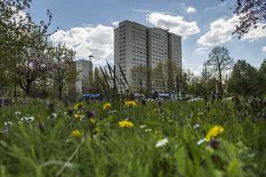 Nachmieter gesucht! - 2-Zimmer-Wohnung am Freizeitforum Marzahn – Raoul-Wallenberg-Straße 42, 12679 Marzahn, Berlin – Vorschaubild 4