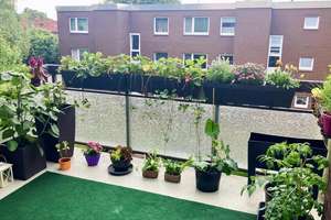 Property thumbnail 3