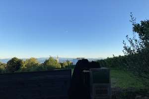 Haus mit traumhafter See-, Alpen-, Fern- und Sternsicht – Die vollständige Adresse der Immobilie erhältst du vom Anbieter., 88709 Meersburg – Vorschaubild 5