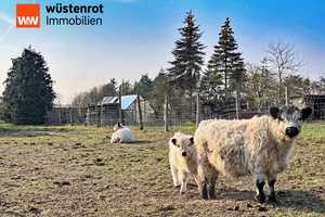 VIEL PLATZ FÜR MENSCH UND TIER: HAUSHÄLFTE MIT EINBAUKÜCHE UND PFERDEHOF + KOPPEL + NEBENGEBÄUDE – Müritz (Kreis) – Vorschaubild 22