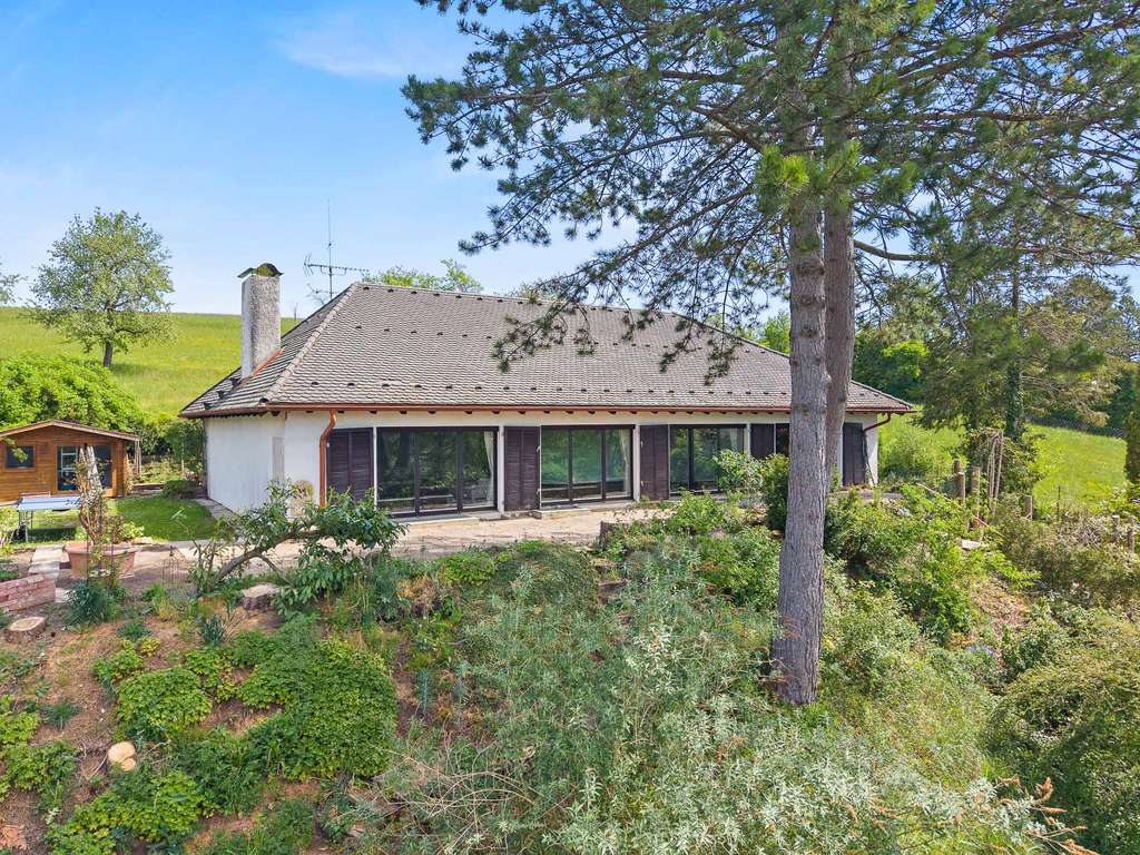 Immobilie in Tengen - Grosszügige, gepflegte Villa in Aussichtslage und Grenzlage zur Schweiz - Bild 0