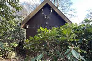 Wochenendhaus / Rundbohlenblockhaus /
Am See / Waldlage /
Erholung Pur – Ammerland (Kreis) – Vorschaubild 7