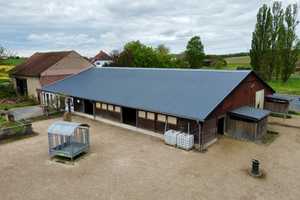 Blockhaus/Ranch für Selbstversorger & Tierliebhaber! – Hütschenhausen, Kaiserslautern (Kreis), 66882 Kaiserslautern (Kreis) – Vorschaubild 7