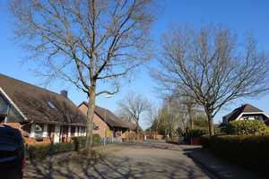 Charmantes Einfamilienhaus – Ostholstein (Kreis) – Vorschaubild 7