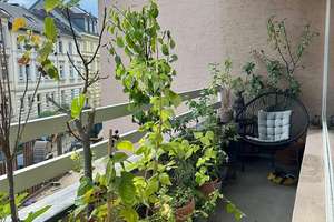 Eigennutzung oder Kapitalanlage (3,46 % Rendite) - 1-Zimmer WHG mit Balkon in Bonn - Poppelsdorf – Die vollständige Adresse der Immobilie erhältst du vom Anbieter., 53115 Poppelsdorf, Bonn – Vorschaubild 7