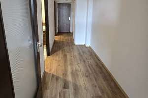 Kapitalanlage mit Potenzial: frisch renovierte 1,5-Zimmer-Wohnung mit Balkon in Oberhausen-Mitte – Die vollständige Adresse der Immobilie erhältst du vom Anbieter., 46045 Altstadt-Süd, Oberhausen – Vorschaubild 17