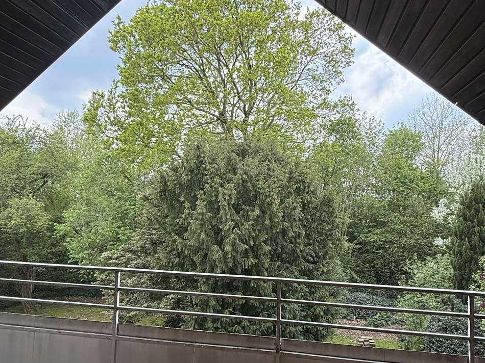 Aussicht vom Balkon 