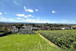 *RESERVIERT*Leben in der exklusivsten Lage der Region! Weil am Rhein-Tüllinger – Lörrach (Kreis) – Vorschaubild 5