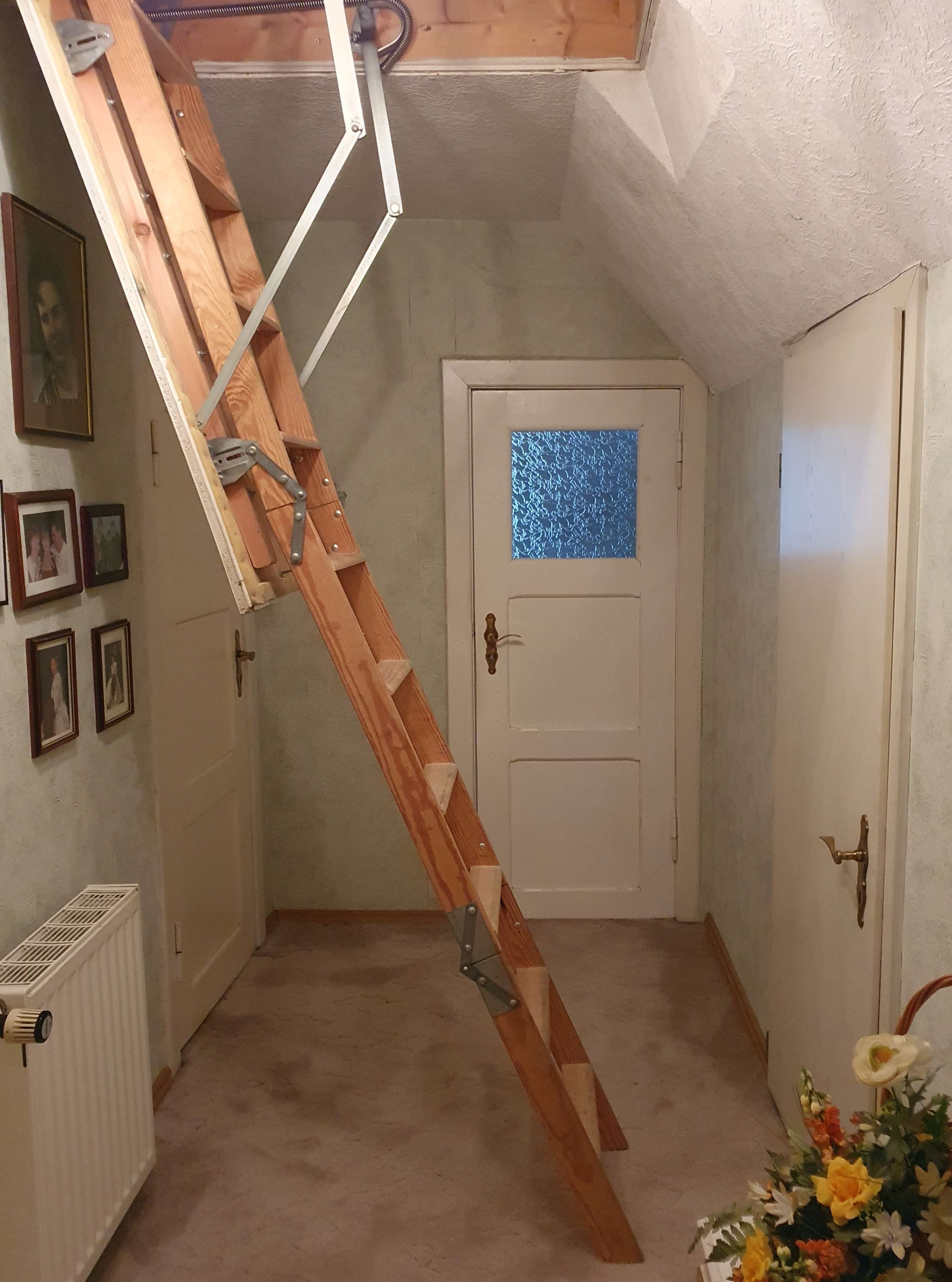 Immobilie in Neubrandenburg - Einfamilienhaus mit Garage – nur wenige Gehminuten zum Tollensesee und ins Stadtzentrum - Bild 8