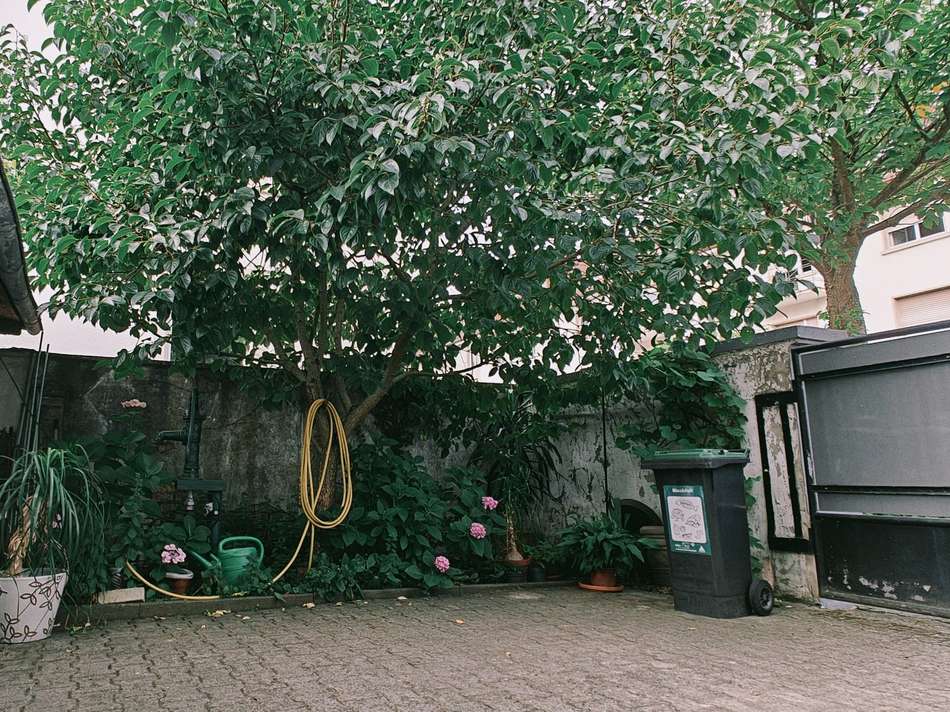 IMG20250714094719.JPG