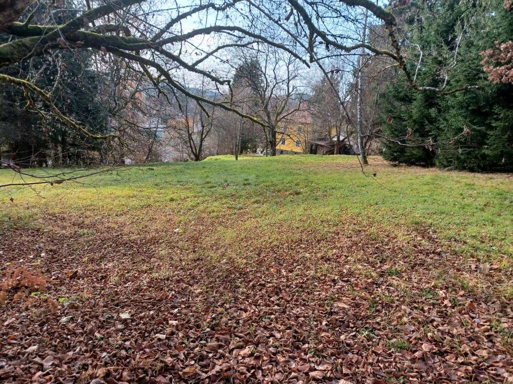 Immobilie in Freyung - Großes Wohnjuwel mit Traumgrundstück in Freyung - Bild 3