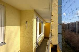 Property thumbnail 9