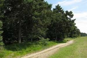 Property thumbnail 28