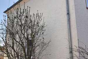 Sehr schönes freistehendes Einfamilienhaus/ Stadtvilla in beliebter Wohnlage mit Garten+ Garage – Immischstraße 1, 99510 Apolda – Vorschaubild 4