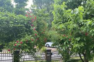Traumhaftes Familienhaus mit großem Garten, Kamin und hervorragender Lage Eine grüne Oase in Hamburg – Die vollständige Adresse der Immobilie erhältst du vom Anbieter., 22339 Hummelsbüttel, Hamburg – Vorschaubild 11