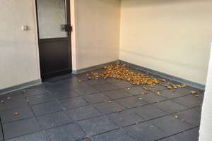 4-Zimmerwohnung im Zentrum von Merseburg zu vermieten – Große Rittestraße 22, 6217 Merseburg – Vorschaubild 16