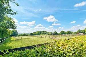 NRW, Nordrhein-Westfalen, Raum Bielefeld - gepflegte Reitanlage zu verkaufen – Die vollständige Adresse der Immobilie erhältst du vom Anbieter., 33739 Jöllenbeck, Bielefeld – Vorschaubild 8