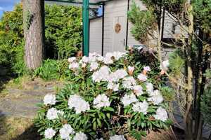 SCHÖNES GRUNDSTÜCK MIT BUNGALOW NÄHE SPREEWALD ZU VERKAUFEN! VB PREIS! – Bornsdorf NEG Am Horstberg 17, 15926 Dahme-Spreewald (Kreis) – Vorschaubild 6
