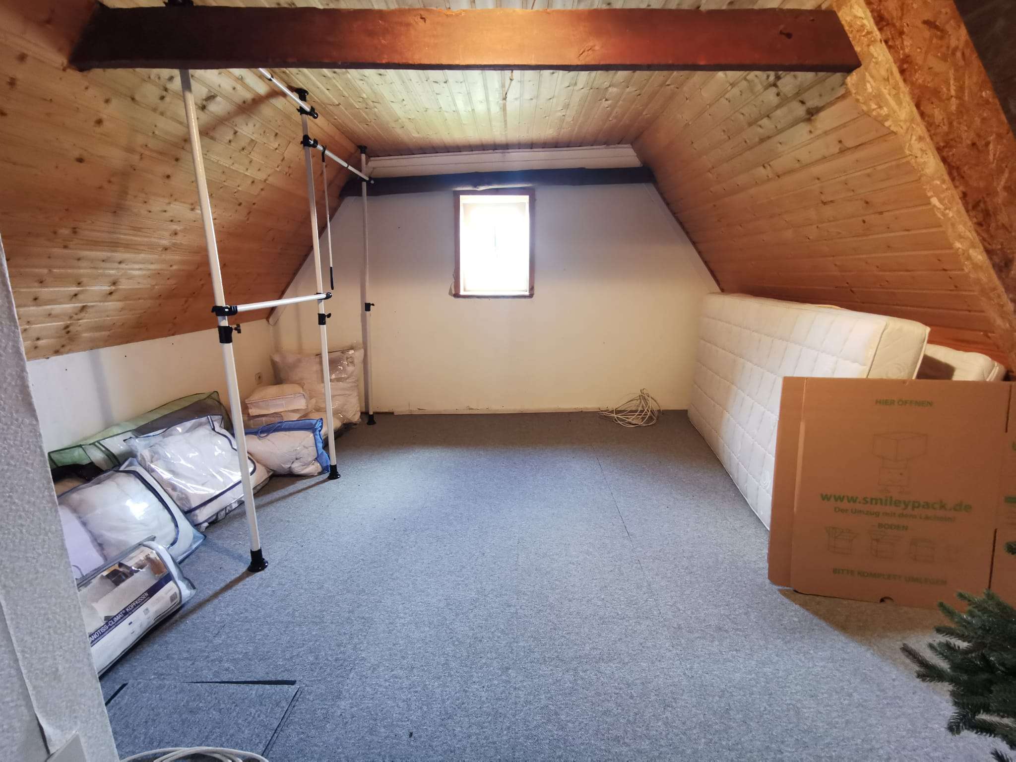 Immobilie in Wischhafen - Attraktives 6 Zimmer Reetdach Haus in 21737 Wischhafen - Bild 9