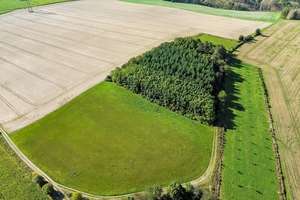 3,5 ha Land mit Jagdhütte -  in der Nähe der beiden Saaletalsperren (A1619)
 – Die vollständige Adresse der Immobilie erhältst du vom Anbieter., 7368 Remptendorf – Vorschaubild 15