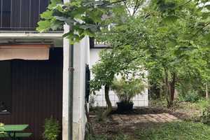 Wunderschöne 4-Zimmer-EG-Wohnung in München Milbertshofen – München – Vorschaubild 4