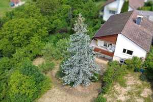 Einfamilienhaus in einzigartiger Wohnlage mit Fernblick und 1.292 m² Grundstück – Tübingen (Kreis) – Vorschaubild 12