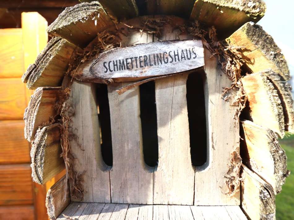 Schmetterlingshaus, Wildbienen