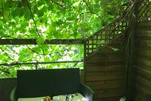 Provisionsfreie Gartenwohnung – 139 m², 5 Zimmer, Hausgefühl, hochwertig saniert, 2 Balkone – Asperger Straße 26, 70439 Stammheim-Mitte, Stuttgart – Vorschaubild 17