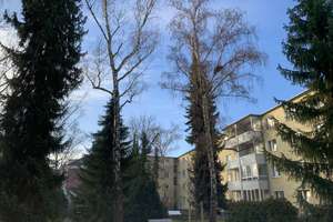 TOP modernisiertes & ruhiges Apartment nahe Grunewald (2 Gehminuten von der U-Bahn 2 entfernt)