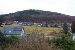 RESERVIERT: Stammsitz der Herren von Harfenberg – Die vollständige Adresse der Immobilie erhältst du vom Anbieter., 69434 Heddesbach – Vorschaubild 8