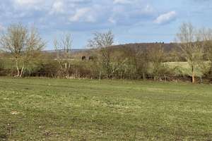 RESERVIERT !!Gr. Wohnhaus (4 WG )mit Pferdestall Grdst. 2215 m²+ 1,59 ha Pachtwiese in Wölschendorf – Die vollständige Adresse der Immobilie erhältst du vom Anbieter., 23936 Grevesmühlen – Vorschaubild 78