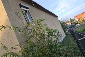 Einfamilienhaus mit Nebengelass und großzügigem Grundstück am Ortsrand von Gorsleben – Kyffhäuserkreis – Vorschaubild 3