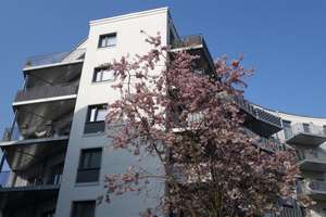 Platz an der Sonne - Repräsentative 3 Zimmer Wohnung mit EBK in D.-Flingern – Luise-Rainer-Str. 1f, 40235 Flingern Nord, Düsseldorf – Vorschaubild 24
