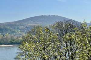 Exklusivität mit Aussicht – Ihr Penthouse direkt am Rhein – Bonn – Vorschaubild 14