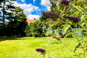 Außergewöhnlicher Garten & viel Platz für die ganze Familie !!! – Hauptstraße 3, 38110 Wenden-Thune-Harxbüttel, Braunschweig – Vorschaubild 10