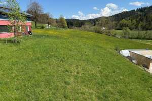 Großes Mehrfamilienhaus in toller, ländlicher Lage mit Weitblick, incl. Bauplatz ! – Die vollständige Adresse der Immobilie erhältst du vom Anbieter., 88167 Grünenbach – Vorschaubild 38