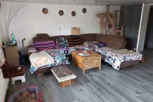 Einfamilienhaus – Obere Str. 27, 73491 Ostalbkreis – Vorschaubild 13