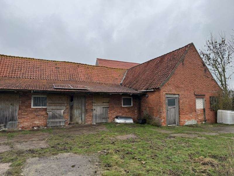 Pferdefreunde! Resthof in Alleinlage, mit ca. 12.000m² Weideflächen -Renovierungsbedürftig!, Nienburg Weser Kreis – Bild 4