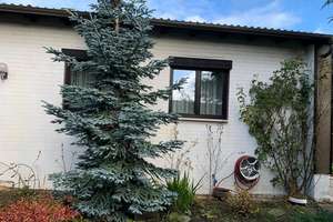 Charmantes Einfamilienhaus in Velstove zu vermieten! – ... ..., 38448 Velstove, Wolfsburg – Vorschaubild 13