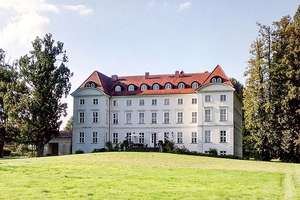 Absolute Rarität! Herrschaftliches Schloss-Anwesen in ländlich-idyllischer Lage von Mecklenburg! – Die vollständige Adresse der Immobilie erhältst du vom Anbieter., 19217 Wedendorfersee – Vorschaubild 14