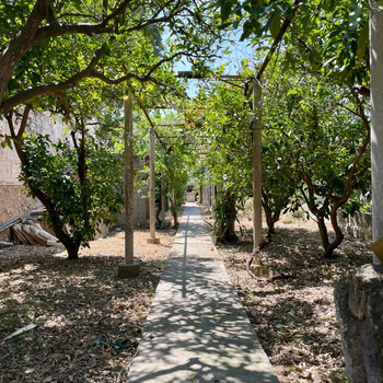 HAUS MALLOORQUINA MIT 700M2 GARTEN