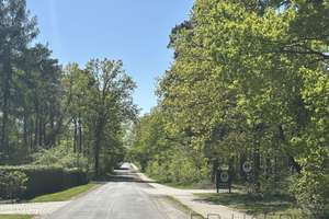 VIS-A-VIS ZUM GOLFPLATZ: WEITLÄUFIGES ANWESEN AUF PARKÄHNL. GRUNDSTÜCK MIT POOL & ZWEI WOHNEINHEITEN – Die vollständige Adresse der Immobilie erhältst du vom Anbieter., 31303 Burgdorf – Vorschaubild 56