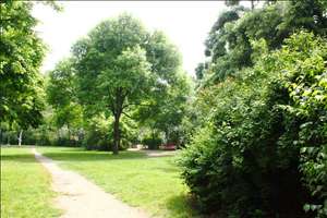 Property thumbnail 28