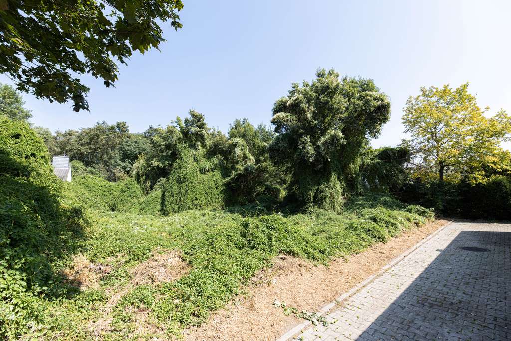 Tolles Baugrundstück mit Blick ins Grüne