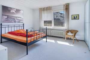 Sommer, Sonne, Kaktus – Neuwied (Kreis) – Vorschaubild 8