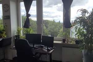 Helle, lichtdurchflutete Wohnung in absolut zentraler Lage, modern und möbliert – D.-Martin-Luther-Straße 14, 93047 Innenstadt, Regensburg – Vorschaubild 8