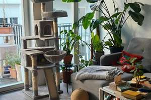 Hochwertig sanierte 2-Zimmer-Wohnung mit großer Terrasse und Aufzug in Pankow/Weißensee – Goethestraße 47, 13086 Weißensee, Berlin – Vorschaubild 9