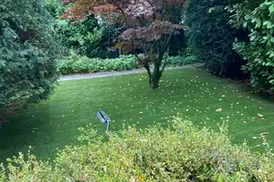 Grosse Luxuswohnung am Naturschutzgebiet – ideal für Homeoffice und Familie – Tachenbergstraße 29c, 70499 Stuttgart – Vorschaubild 8